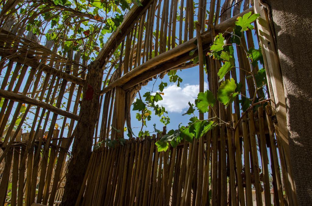Kfar Hanokdim - Glamping & Camping Arad Dış mekan fotoğraf